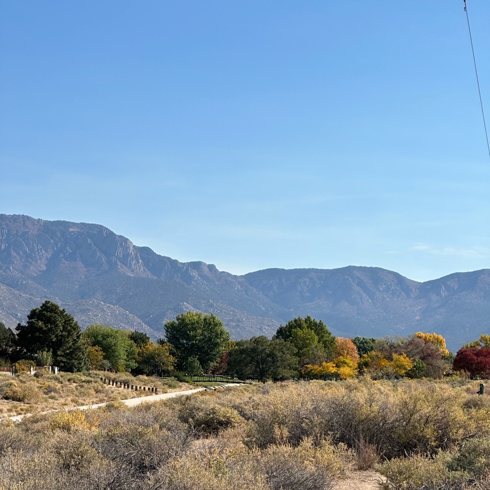 Meet your Posher, Delores